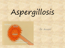 Dr. Ansari Systemic Fungal Infections