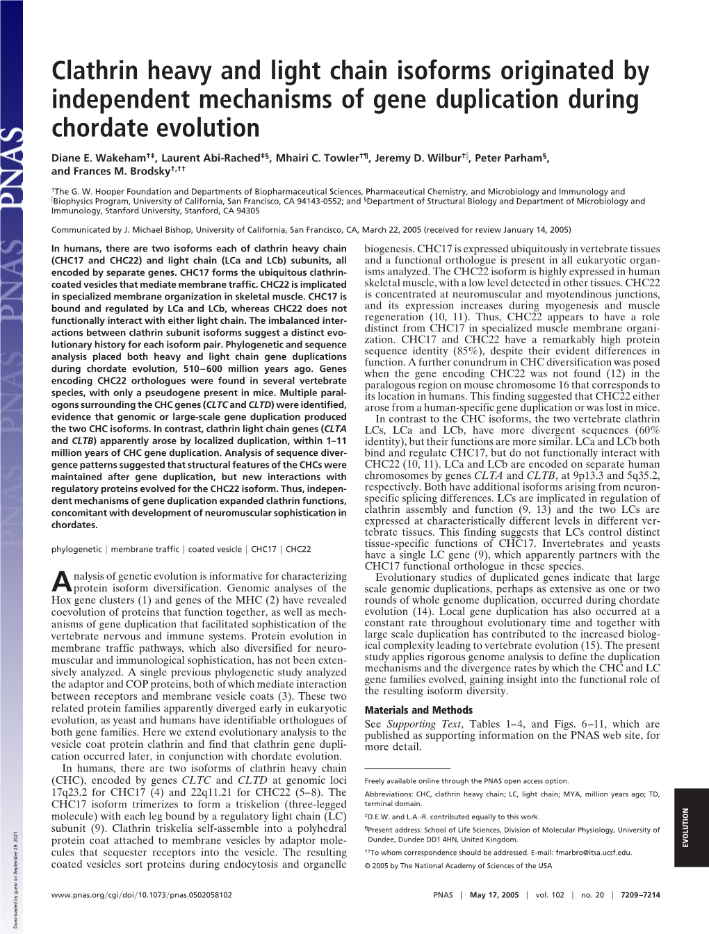 Clathrin Heavy and Light Chain Isoforms Originated by Independent Mechanisms of Gene Duplication During Chordate Evolution