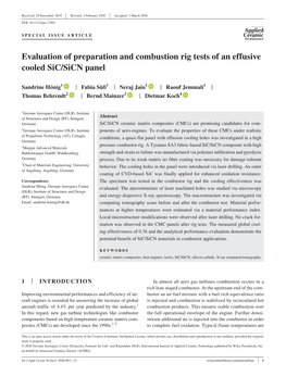 Evaluation of Preparation and Combustion Rig Tests of an Effusive Cooled Sic/Sicn Panel