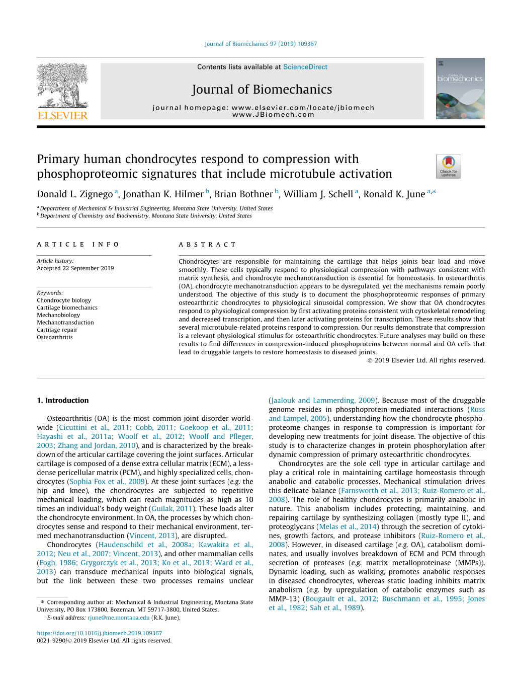 Primary Human Chondrocytes Respond to Compression with Phosphoproteomic Signatures That Include Microtubule Activation ⇑ Donald L