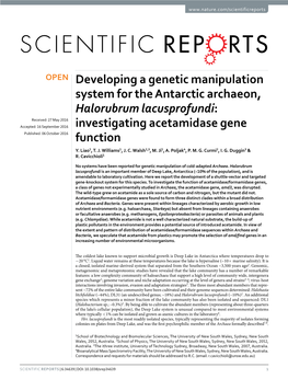 Investigating Acetamidase Gene Function