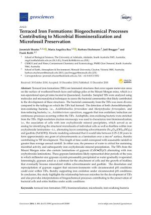 Terraced Iron Formations: Biogeochemical Processes Contributing to Microbial Biomineralization and Microfossil Preservation