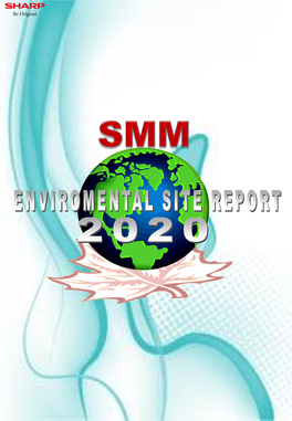 Site Report Smm.Pdf