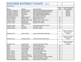Featured Butterfly Plants