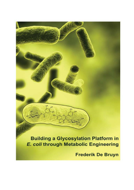 Building a Glycosylation Platform in E. Co/I Through Metabolic Engineering Frederik De Bruyn
