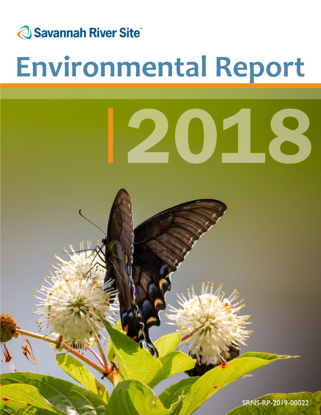 Environmental Report 2018