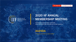 2020 Iif Annual Membership Meeting Financing a Sustainable Economy: Crisis Recovery and Drivers of Future Growth