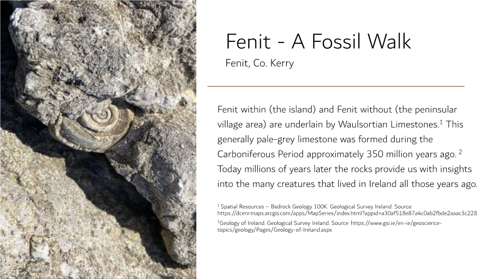 Fenit - a Fossil Walk Fenit, Co