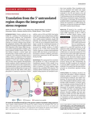 Translation from the 5′ Untranslated Region Shapes the Integrated Stress Response Shelley R