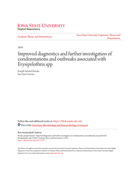 Improved Diagnostics and Further Investigation of Condemnations and Outbreaks Associated with Erysipelothrix Spp Joseph Samuel Bender Iowa State University