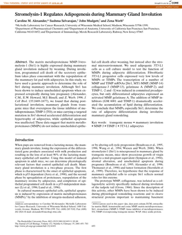 Stromelysin-1 Regulates Adipogenesis During Mammary Gland Involution Caroline M