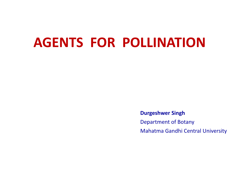 Agents for Pollination by Durgeshwer Singh