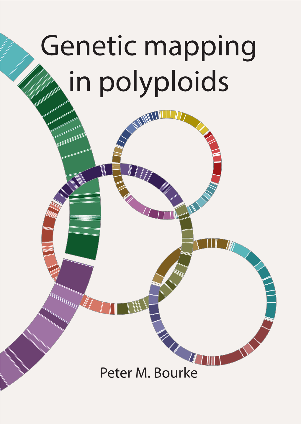 Genetic Mapping in Polyploids Genetic Genetic Mapping in Polyploids Genetic