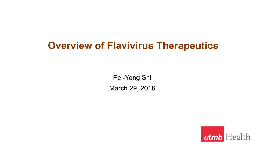 Overview of Flavivirus Therapeutics