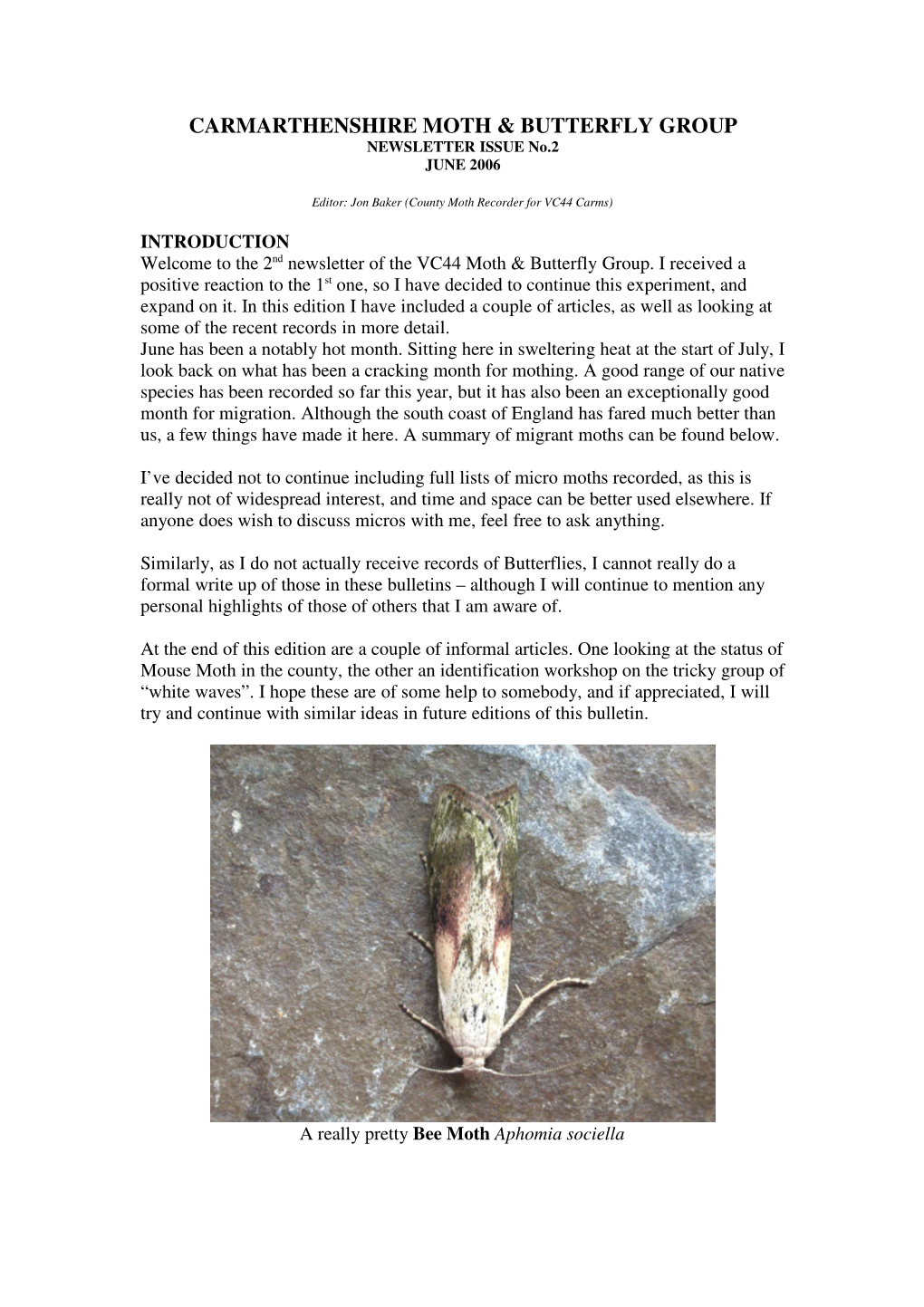 Carmarthenshire Moth & Butterfly Group