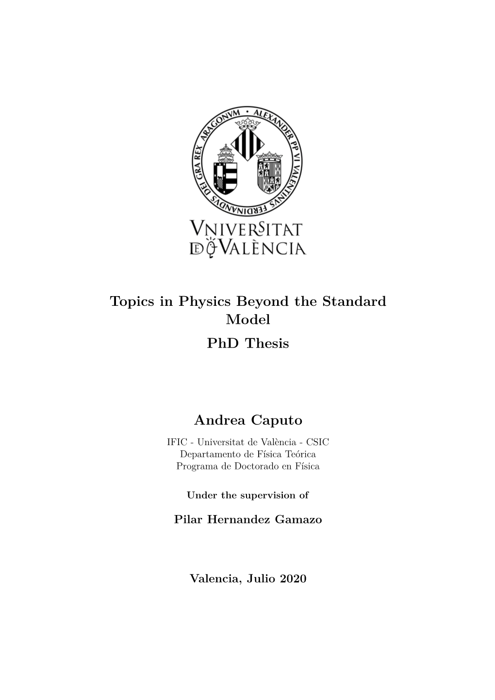 Topics in Physics Beyond the Standard Model Phd Thesis