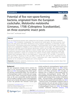 Potential of Five Non-Spore-Forming Bacteria, Originated from The