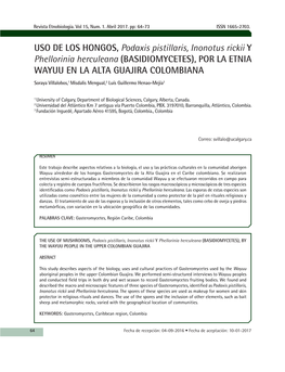 Uso De Los Hongos, Podaxis Pistillaris, Inonotus Rickii Y Phellorinia