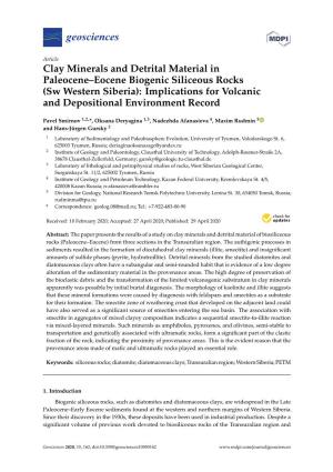 Clay Minerals and Detrital Material in Paleocene–Eocene Biogenic Siliceous Rocks (Sw Western Siberia): Implications for Volcanic and Depositional Environment Record
