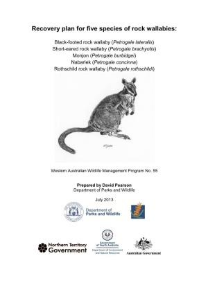 Recovery Plan for Five Species of Rock-Wallabies