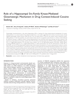 Role of a Hippocampal Src-Family Kinase-Mediated Glutamatergic Mechanism in Drug Context-Induced Cocaine Seeking