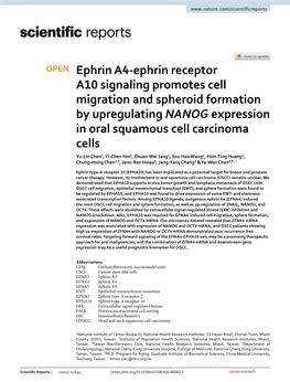 Ephrin A4-Ephrin Receptor A10 Signaling Promotes Cell Migration