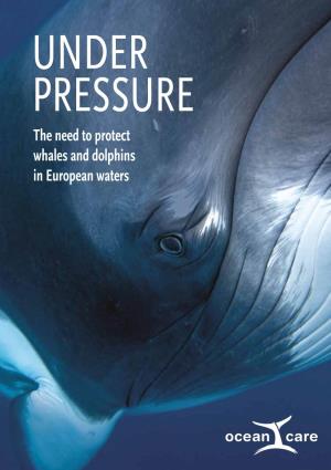 UNDER PRESSURE. the Need to Protect Whales and Dolphins In