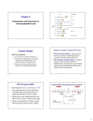 Chapter 5 Genetic Models
