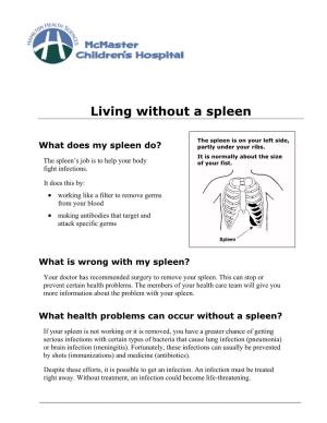 Living Without a Spleen