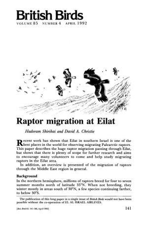 Raptor Migration at Eilat Hadoram Shirihai and David A