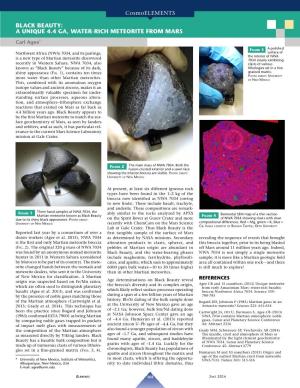 Black Beauty: a Unique 4.4 Ga, Water-Rich Meteorite from Mars