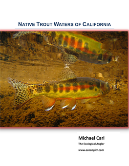 The Native Trout Waters of California Details Six of the State’S Most Scenic, Diverse, and Significant Native Trout Fisheries