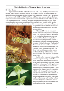 Moth Pollination of Greater Butterfly-Orchids by Mike Gasson My Interest in Butterflies and Moths Coincides with a Long Standing Affection for Wild Orchids