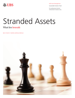 Stranded Assets What Lies Beneath
