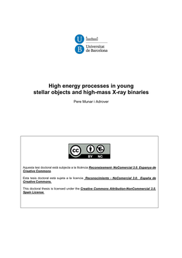 High Energy Processes in Young Stellar Objects and High-Mass X-Ray Binaries