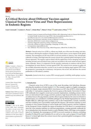 A Critical Review About Different Vaccines Against Classical Swine Fever Virus and Their Repercussions in Endemic Regions