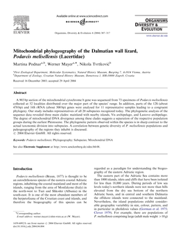 Mitochondrial Phylogeography of the Dalmatian Wall Lizard, Podarcis