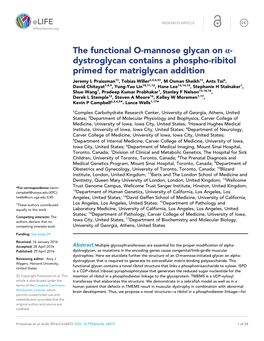 The Functional O-Mannose Glycan on A