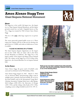 Amos Alonzo Stagg Tree Giant Sequoia National Monument