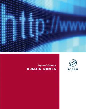 Beginner's Guide to Domain Names