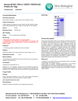 Human B7-DC / PD-L2 / CD273 / PDCD1LG2 Protein (Fc Tag)