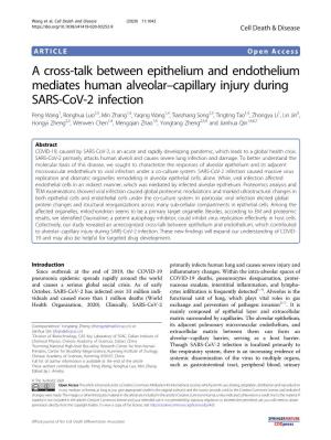 A Cross-Talk Between Epithelium and Endothelium Mediates Human