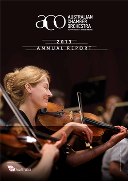 2013 ACO Annual Report