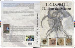IL Libro Del Museo by Enrico Bonino and Carlo Kier Is a Pleasant Treat