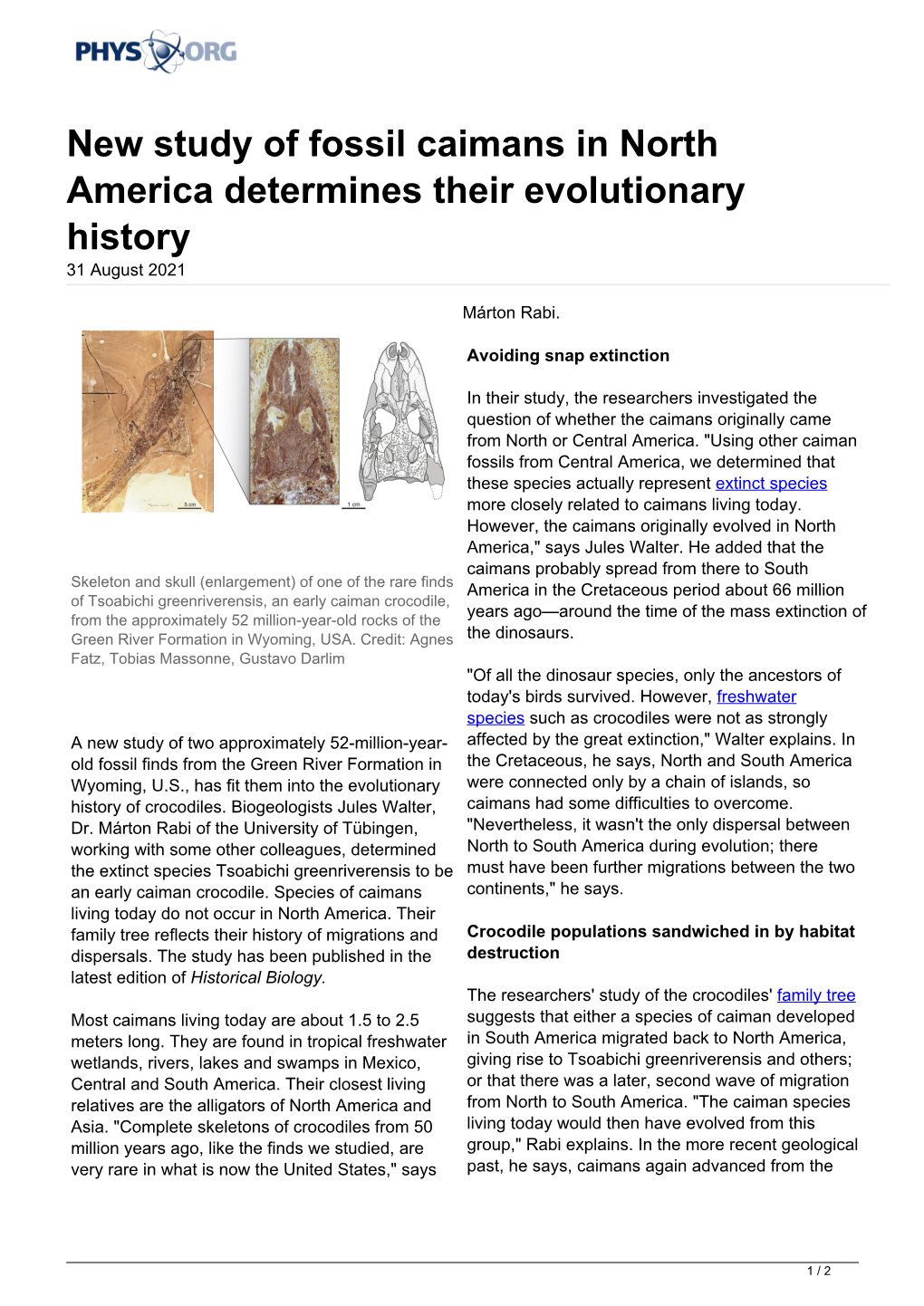 New Study of Fossil Caimans in North America Determines Their Evolutionary History 31 August 2021