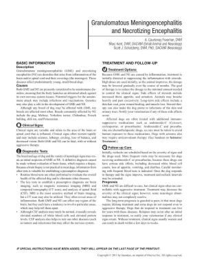 Granulomatous Meningoencephalitis and Necrotizing Encephalitis