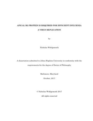 APICAL M2 PROTEIN IS REQUIRED for EFFICIENT INFLUENZA a VIRUS REPLICATION by Nicholas Wohlgemuth a Dissertation Submitted To