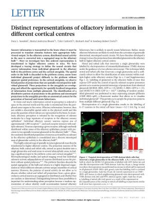 Distinct Representations of Olfactory Information in Different Cortical Centres