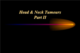 Evaluation and Management of the Patient with a Neck Mass