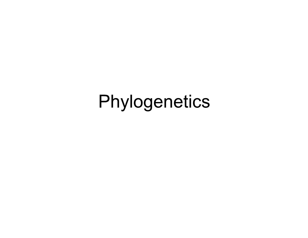 Phylogenetics